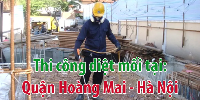 Diệt mối tại Hà Nội