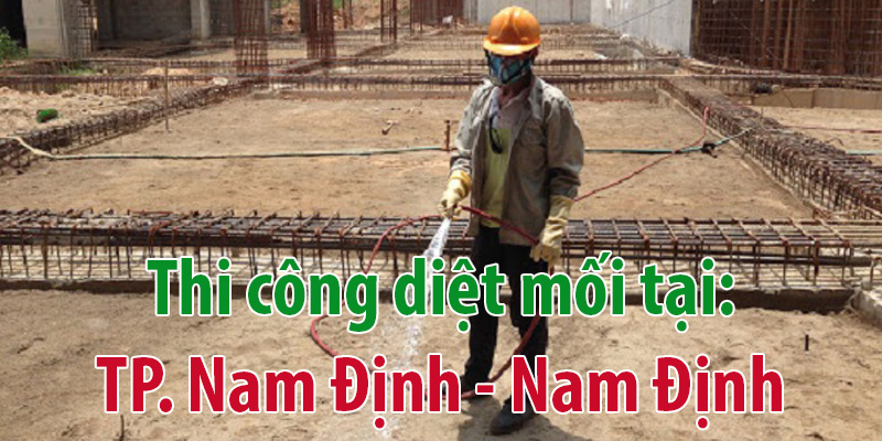 Diệt mối tại Nam Định