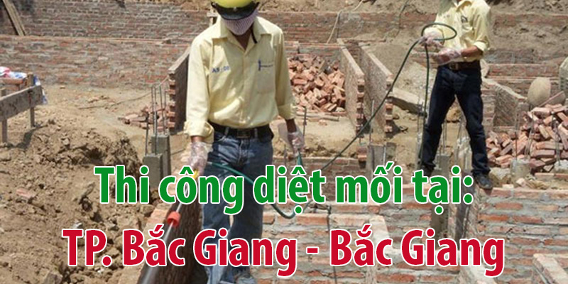 Diệt mối tại Bắc Giang