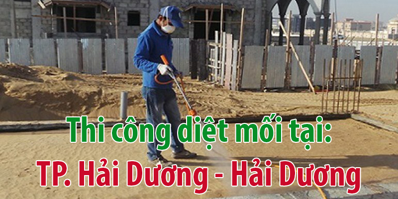 Diệt mối tại Hải Dương