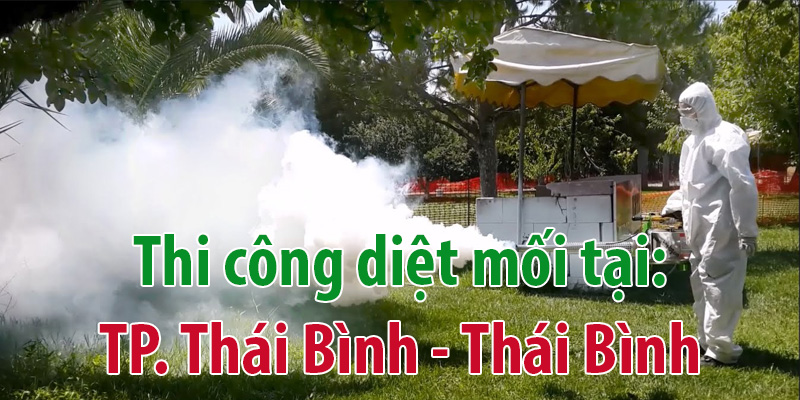 Diệt mối tại Thái Bình