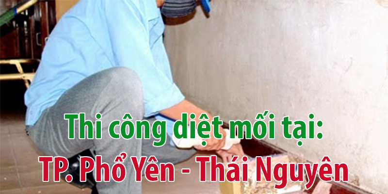 Diệt mối tại Thái Nguyên